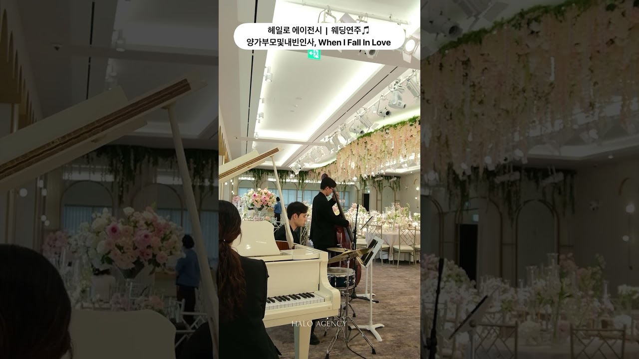 🎼 헤일로에이전시 : 웨딩연주ㅣ재즈3중주ㅣ웨딩선곡ㅣ웨딩연주베스트곡ㅣ신랑입장곡ㅣ신부입장곡