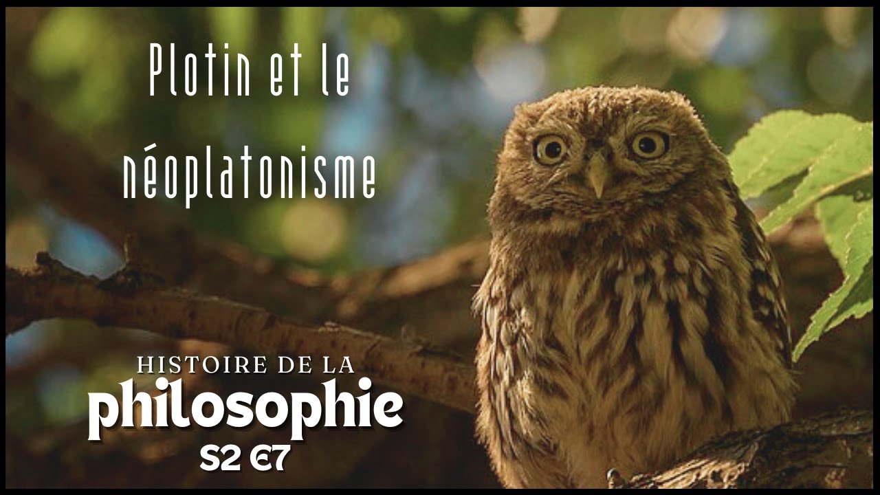 Une voie d'intériorité ⎮ Histoire de la philosophie, saison 2, 7: Plotin et le néoplatonisme