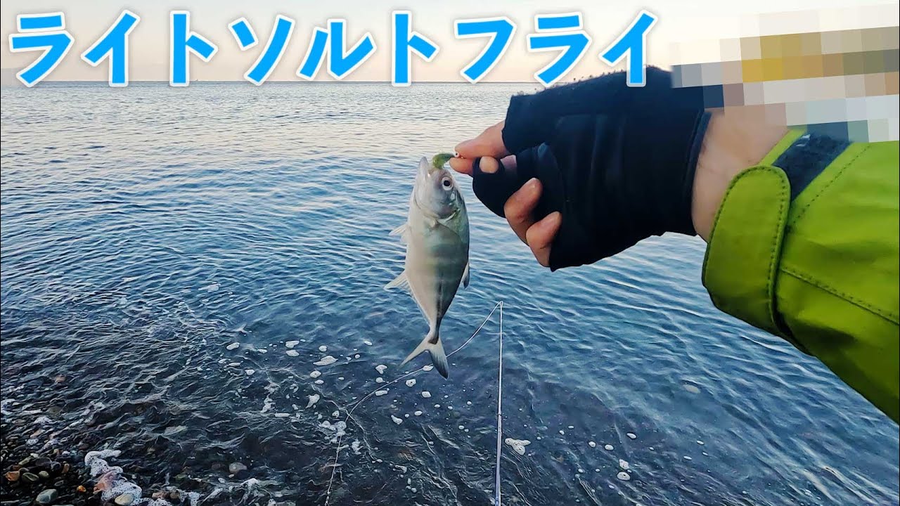 【フライフィッシング】ライトソルトフライで初のメッキが！