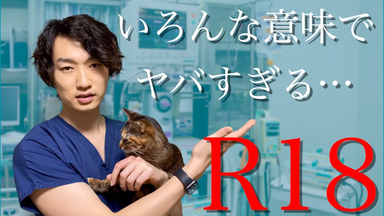 【獣医師が解説】犬と猫が誤食すると危険なもの【TOP3】