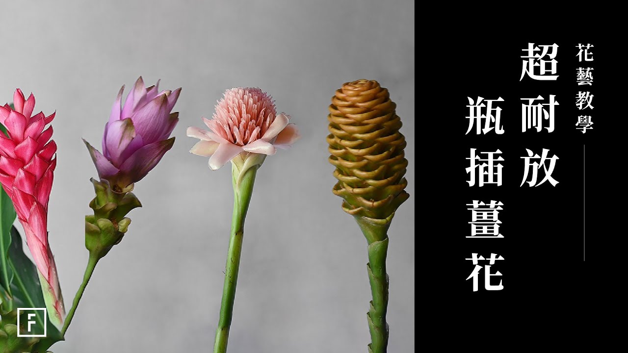 超耐放「瓶插薑花」・ 一聞便知夏天的味道｜花藝教學｜花裡 FORi Flower