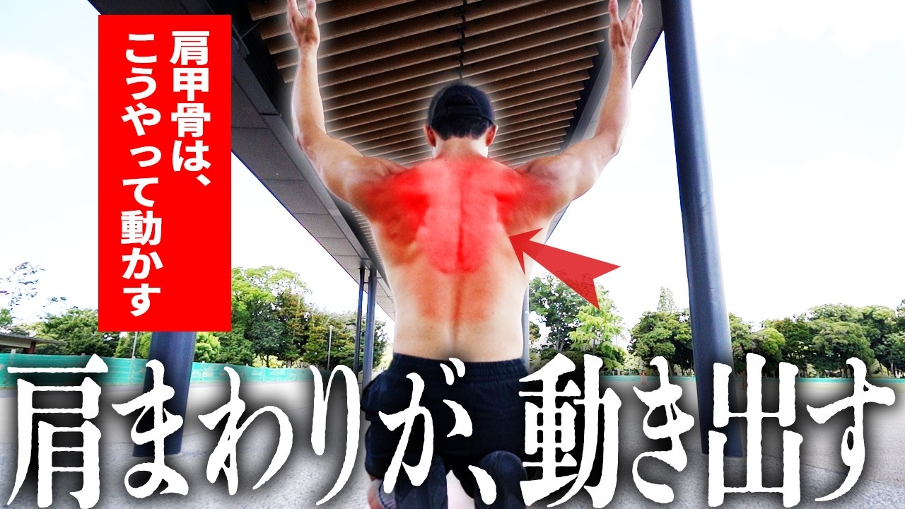 【やらなきゃ損】肩甲骨剥がし級 肩こり・姿勢改善に効くYTWLストレッチ｜