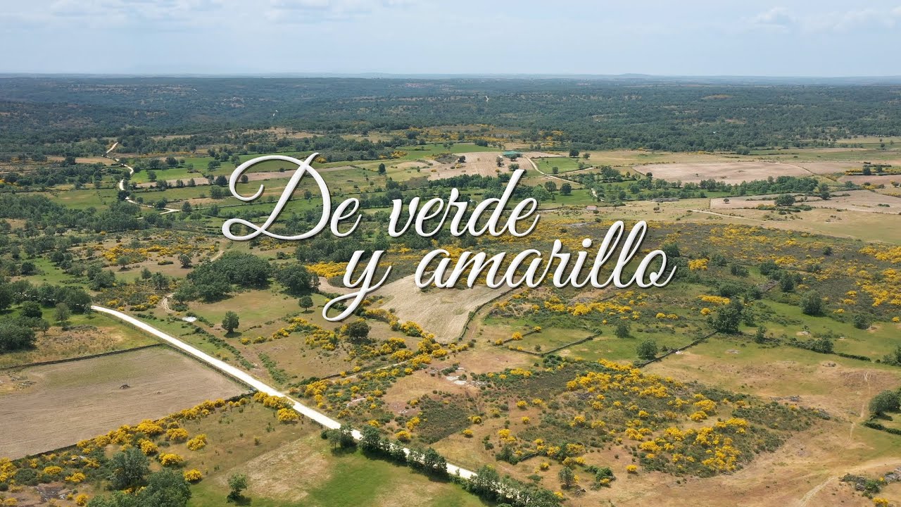 'De verde y amarillo' - La Zarza de Pumareda