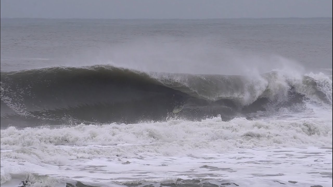 Winter Storm Fern with Ben Gravy and Will Boothby