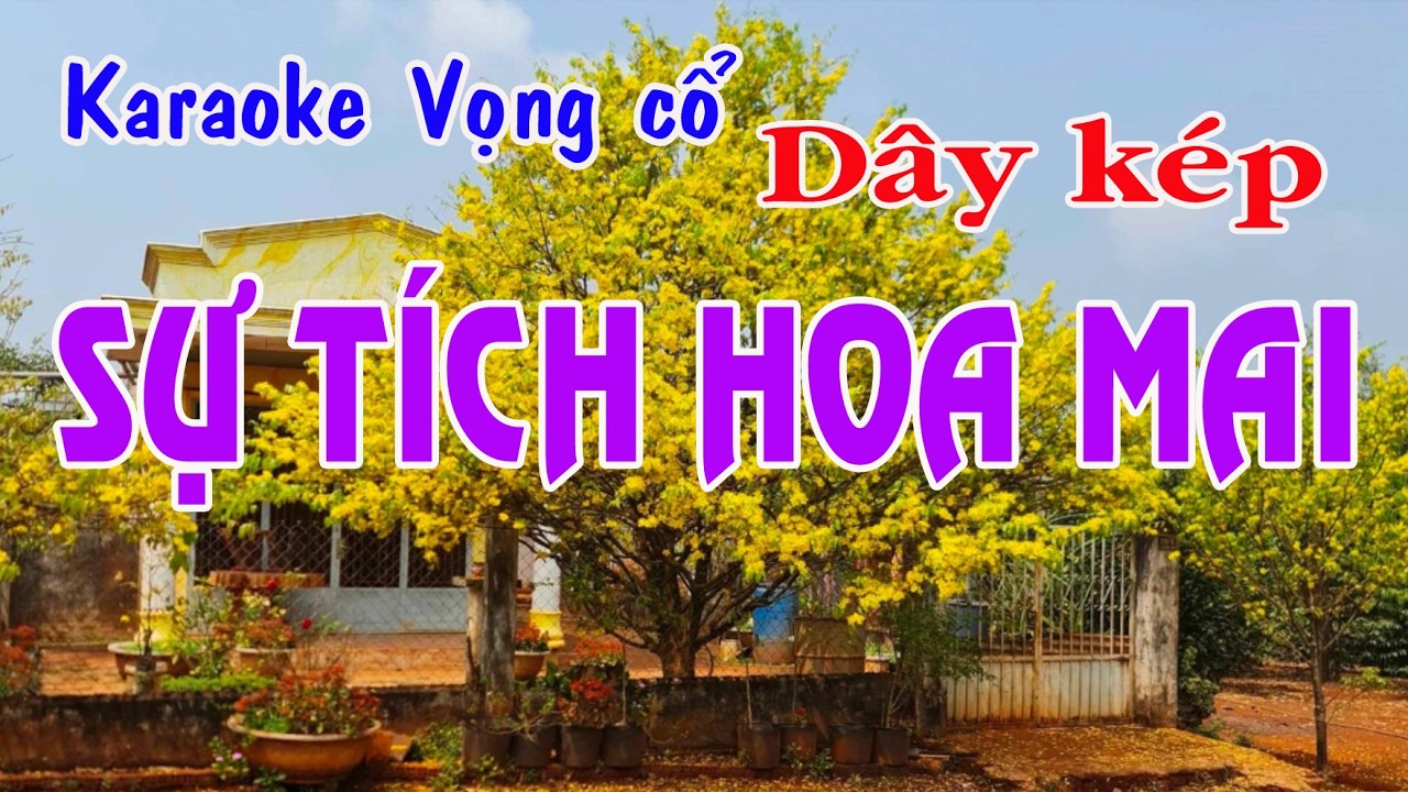 Karaoke vọng cổ SỰ TÍCH HOA MAI - DÂY KÉP