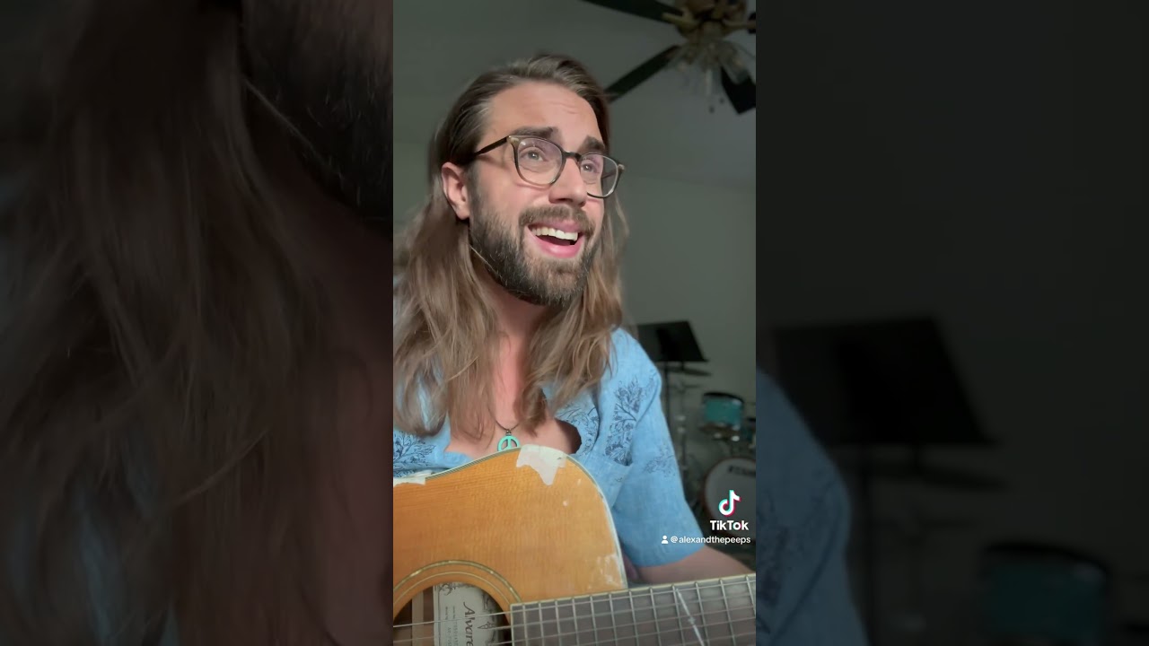 Pink Flamingos - Alex & the People #indiefolkmusic #acousticmusic #acousticfolk #originalsong