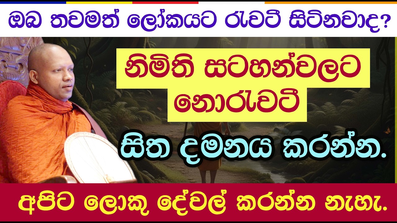 සසර බිය දැක සෝතාපන්න වීමට ප්‍රඥාව වඩන අයුරු | Hasalaka Seelavimala Thero | 3024