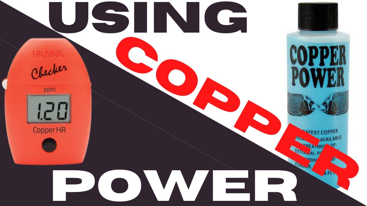 How I used Copper Power in my Quarantine tank