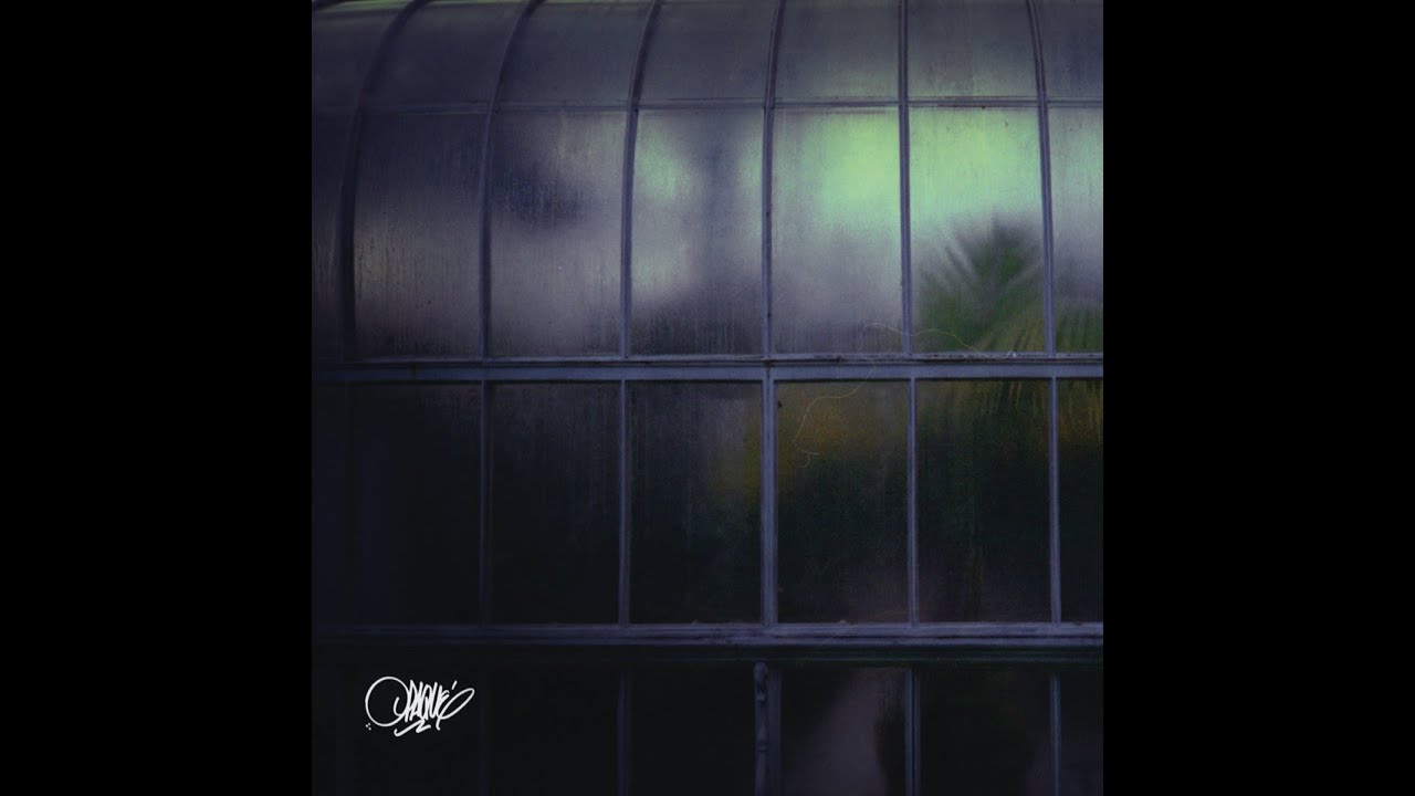 Spaze Windu - Opaque [Full BeatTape]