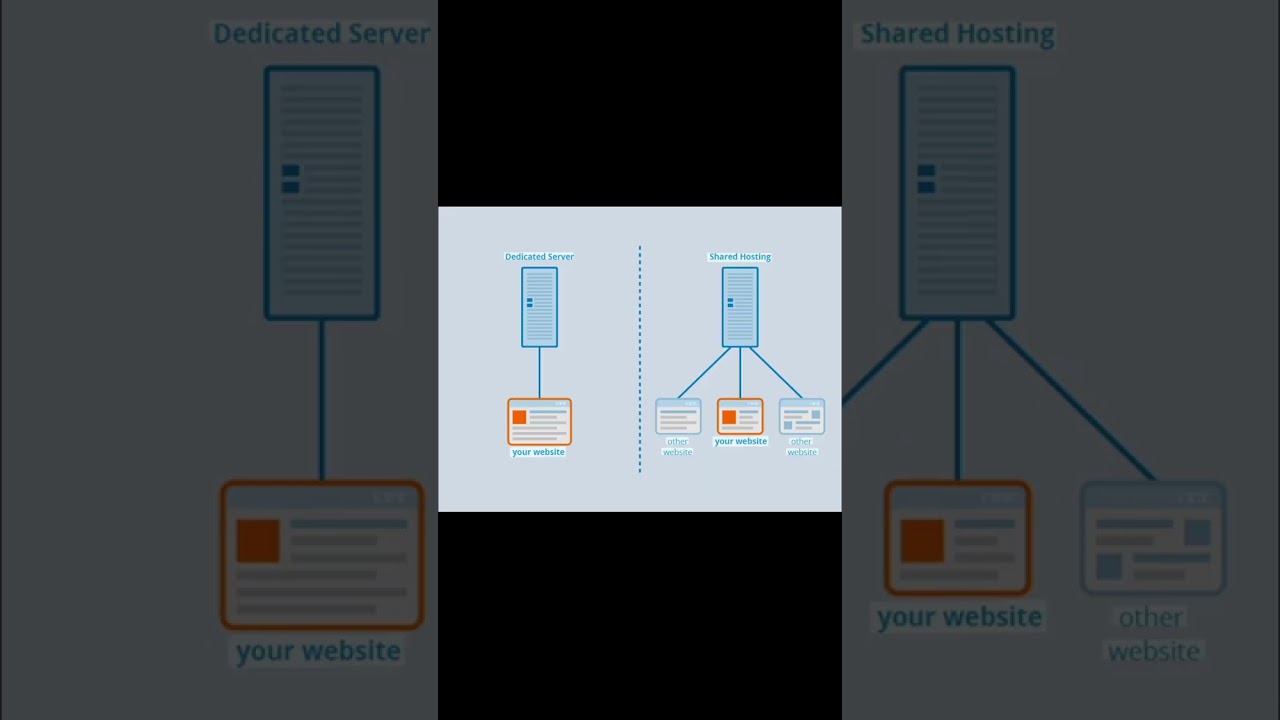 Computer science plus two chapter 7 | Web hosting | Types of web hosting | part 1