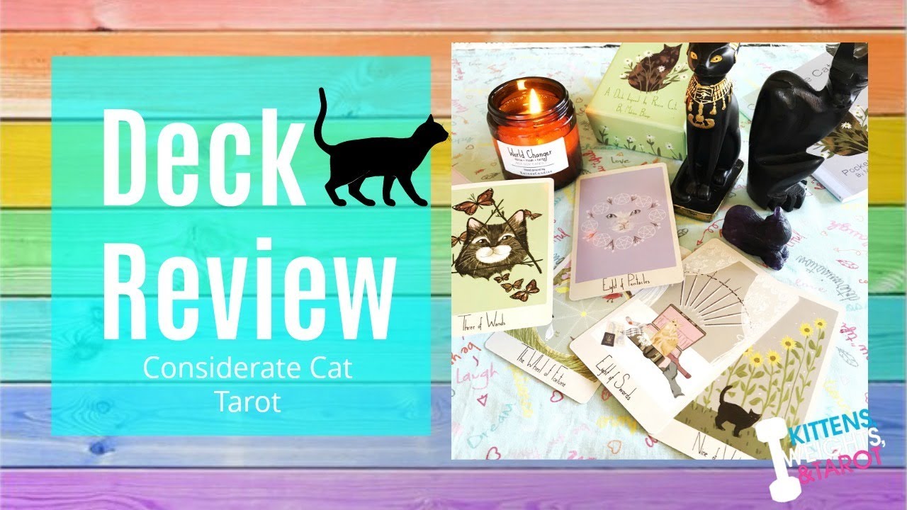Considerate Cat Tarot + Review