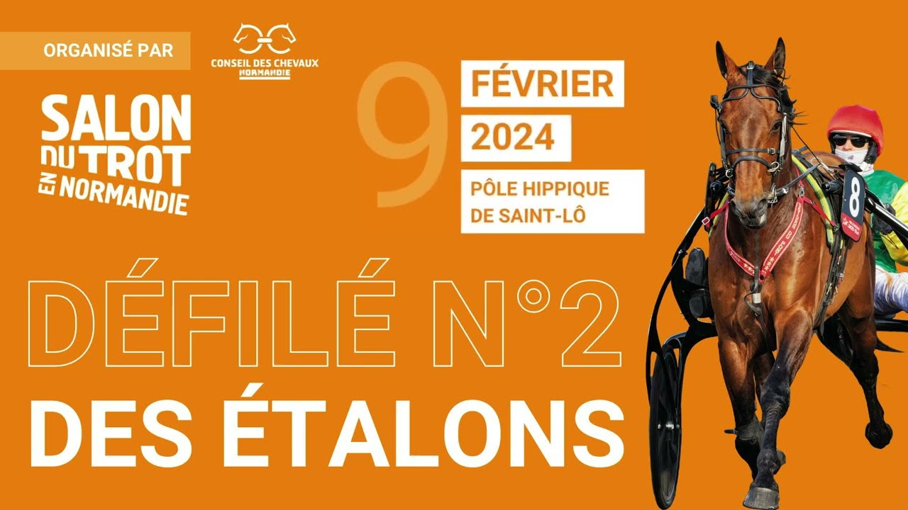 #2 Saint-Lô  2024 - DÉFILÉ des ÉTALONS - Salon du Trot