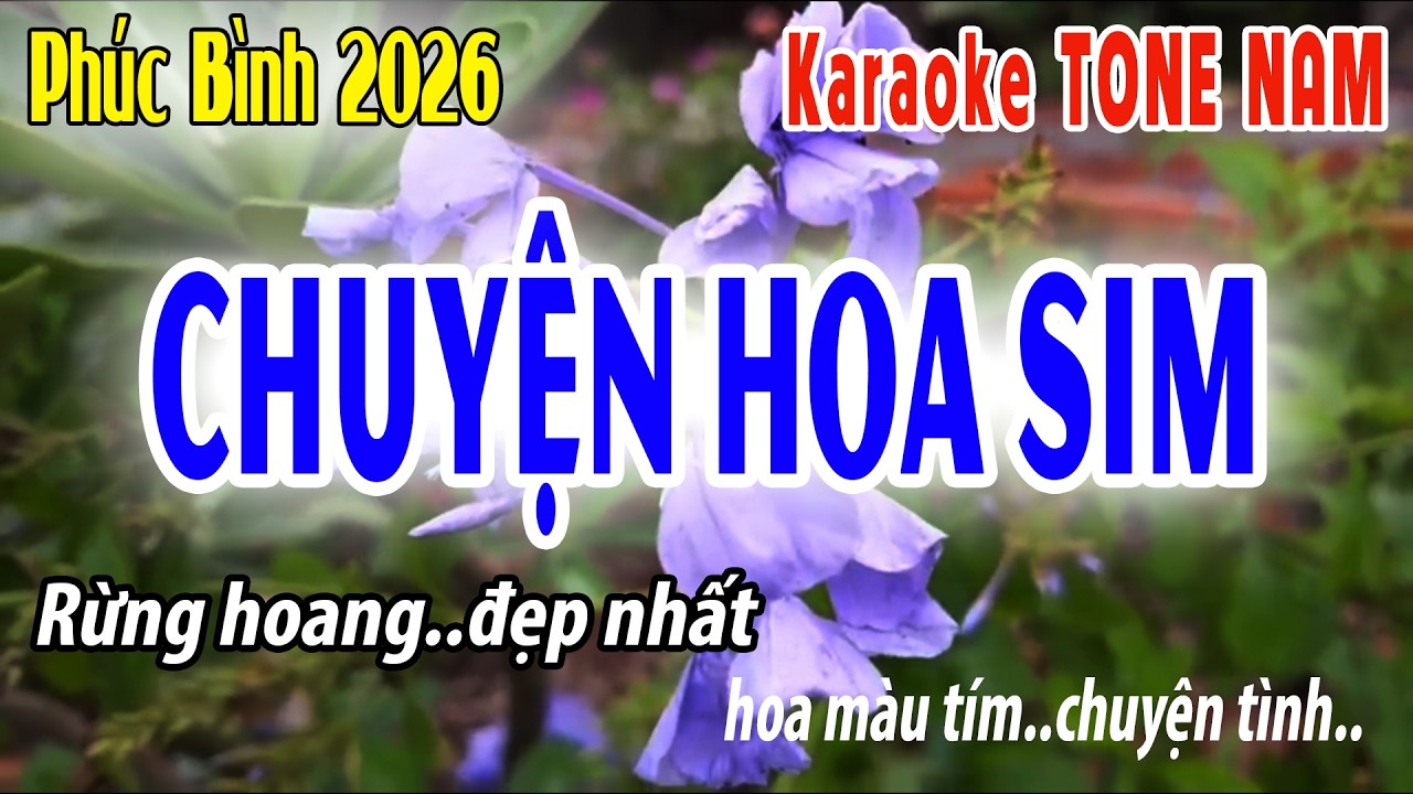 Chuyện Hoa Sim Tone Nam | C#m | Karaoke Phúc Bình | Beat 2026