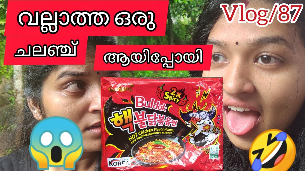 2x Spicy Challenge വല്ലാത്തൊരു നൂഡിൽസ് ആയിപ്പോയി 😲 Vlog/87