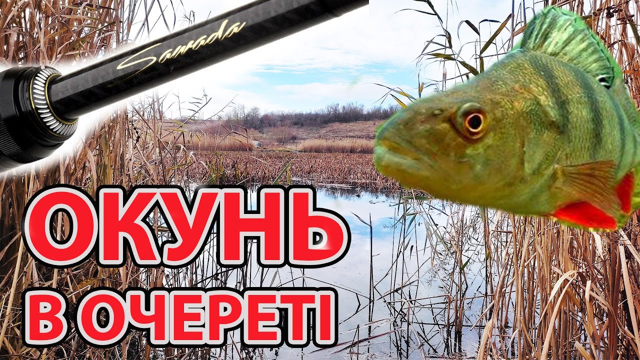 Окунь в очереті рибалка на силікон ловля окуня на спінінг  Azura Sawada Light Rod