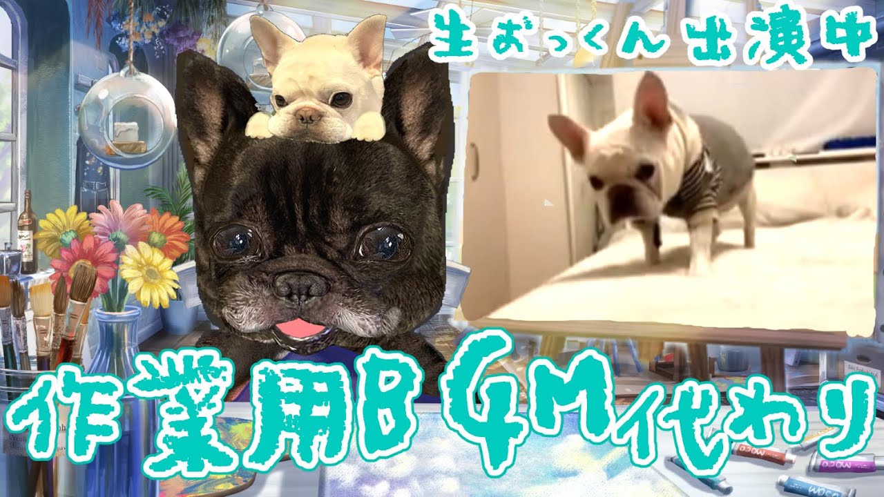 【LIVE】フレブル定点カメラ｜おっくんとからおの部屋(2/27)