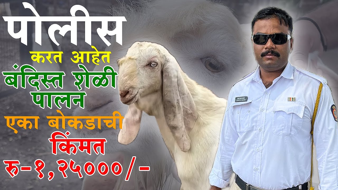 पोलीस करत आहेत बंदिस्त शेळी पालन ....#shelipalanmahiti