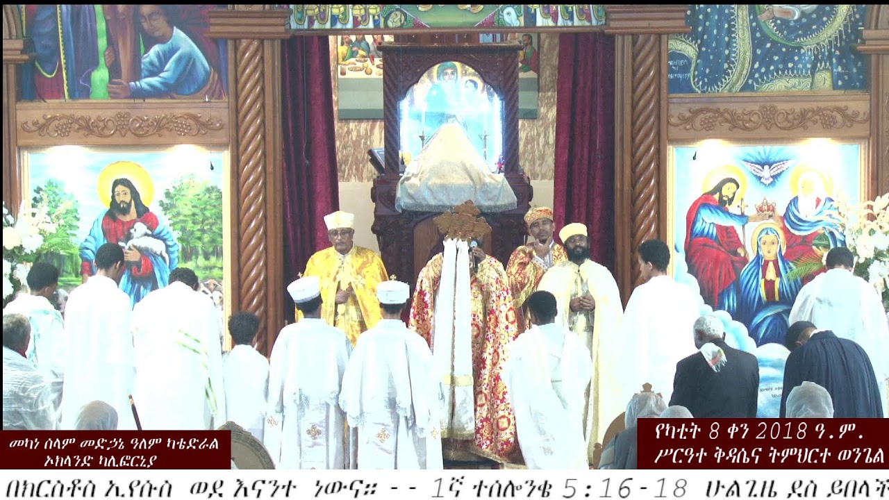 የካቲት 8 ቀን 2018 ዓ.ም.
ሥርዓተ ቅዳሴና ትምህርተ ወንጌል