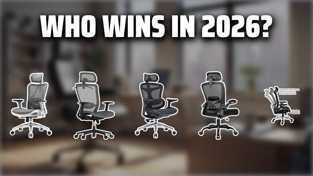 The Top 5 Best Dexley Mesh Chair in 2026 - Must Watch Before Buying!
