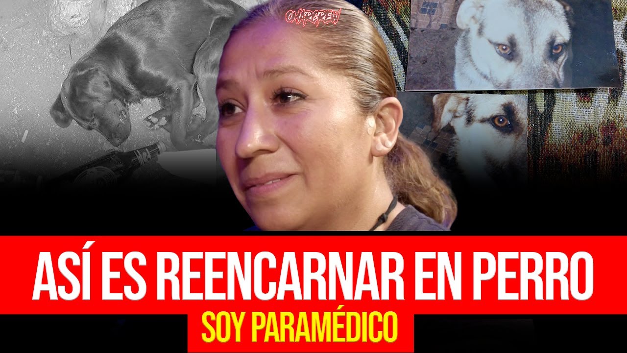 REENCARNÉ EN UN PERRO: SOY PARAMÉDICO, MIS HISTORIAS