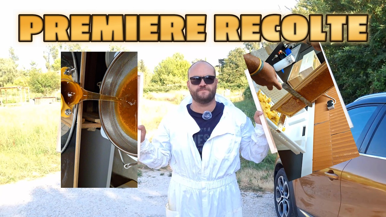 Saison 1 Ep 13 Premi&egrave;re r&eacute;colte de ma vie !! Extraction !!! Trop Bon ce miel ! #apiculture #abeilles