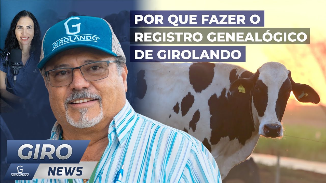 Por que fazer o registro genealógico de Girolando - Gironews #27