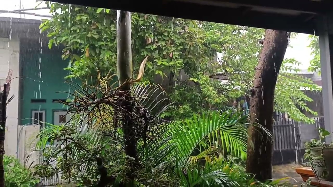 Rain Sounds in a Lush Garden 🌧️ Tropical Rain Ambience for Sleep, Relaxation & Study