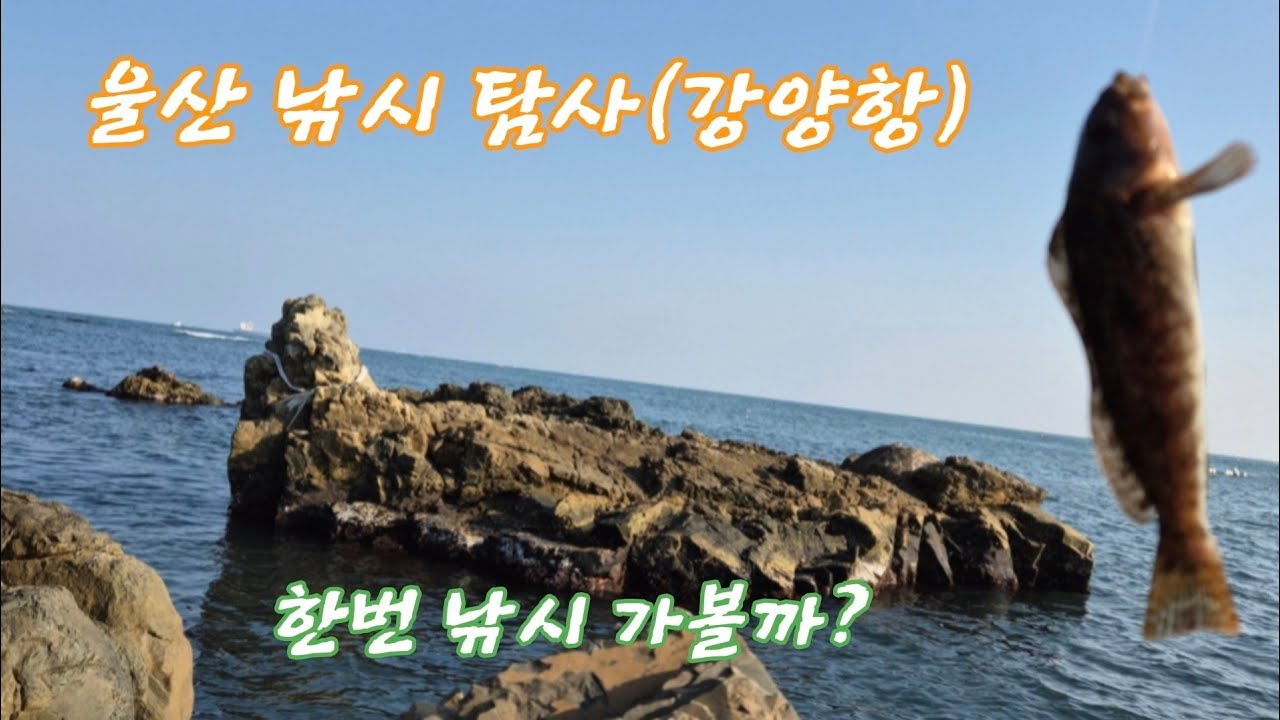 울산 낚시 탐사(강양항, 26년 1월) #낚시탐사 
