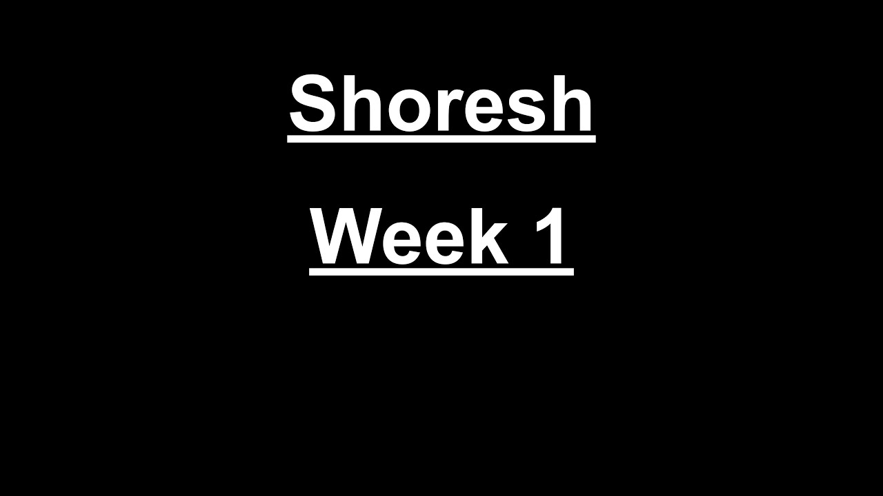 camp shoresh week 1 video