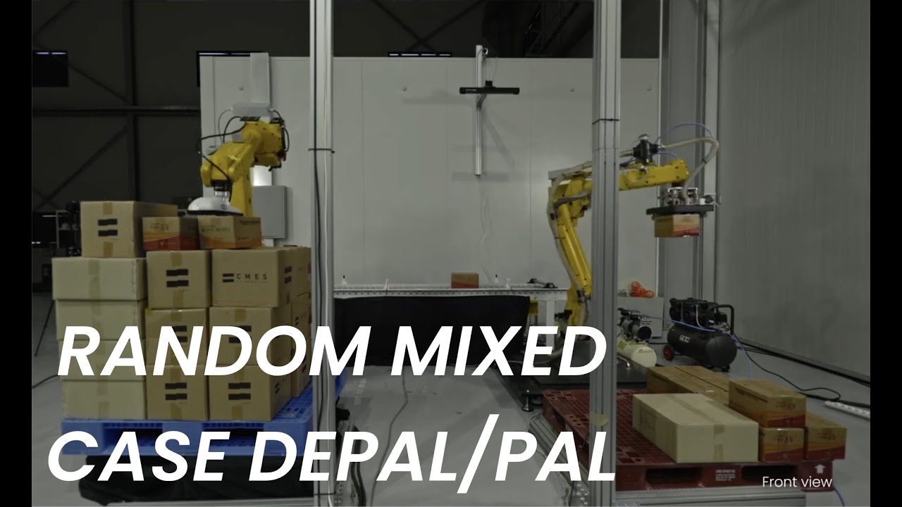 Random Mixed Depalletizing & Mixed Case Palletizing