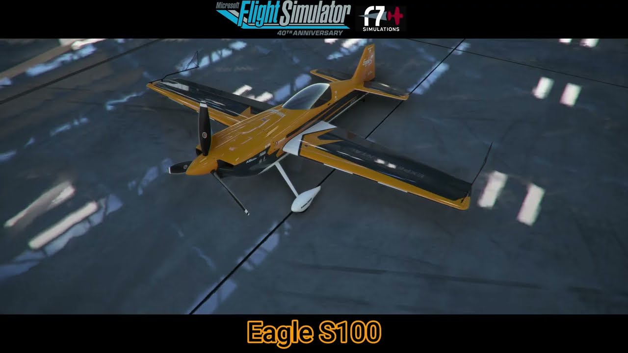 Microsoft Flight Simulator - Eagle S100
