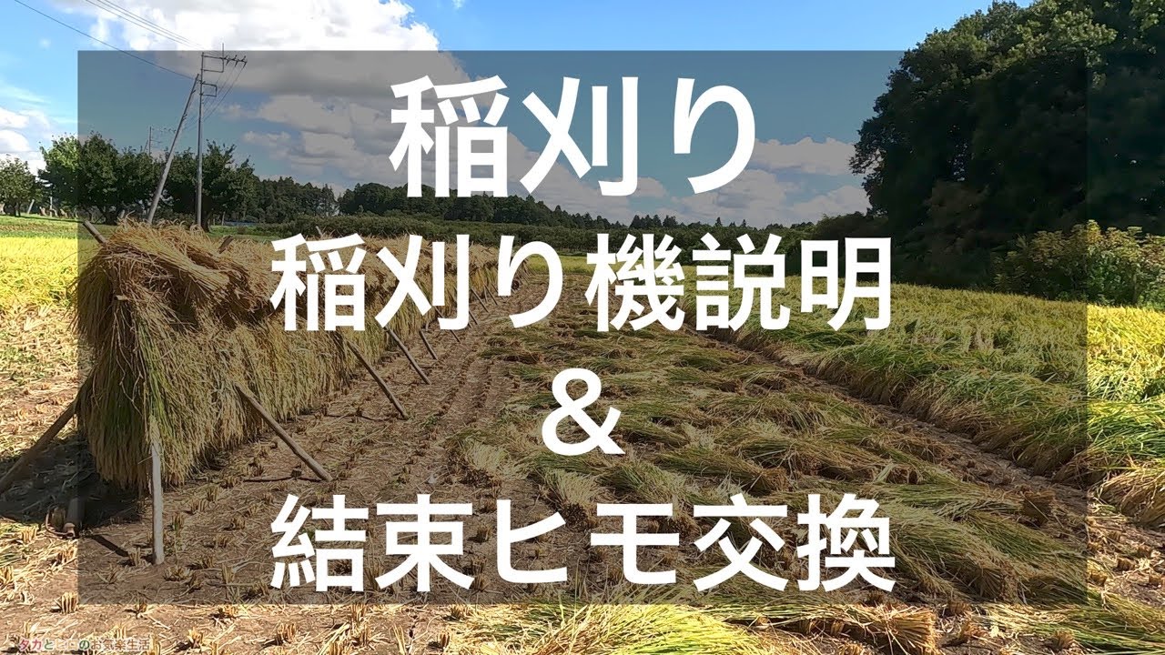 稲刈り機！使い方と結束ひも交換（取付）じゃ！
