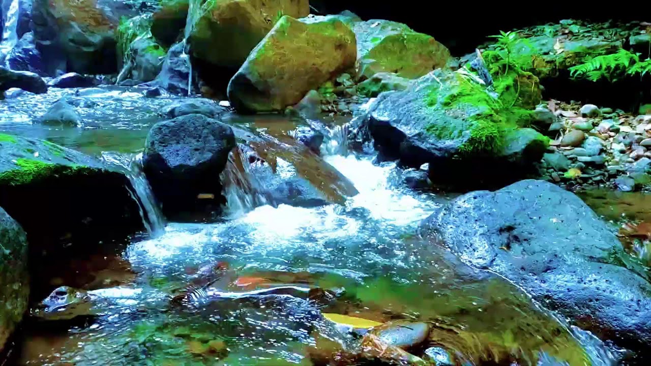 Peaceful River Water Sounds for Stress Relief and Restful Night Sleep