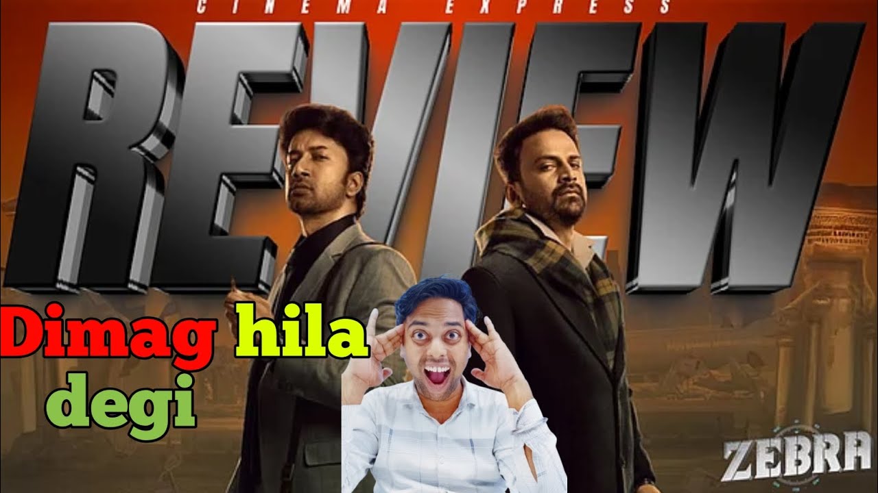 What I Learned from Watching Zebra Movie in Hindi Dubbed