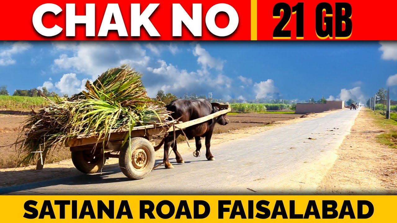 Chak Number 21 GB Jaranwala, Faisalabad Pakistan | What Is The History Of Chak Number 21 GB Indoz TV
