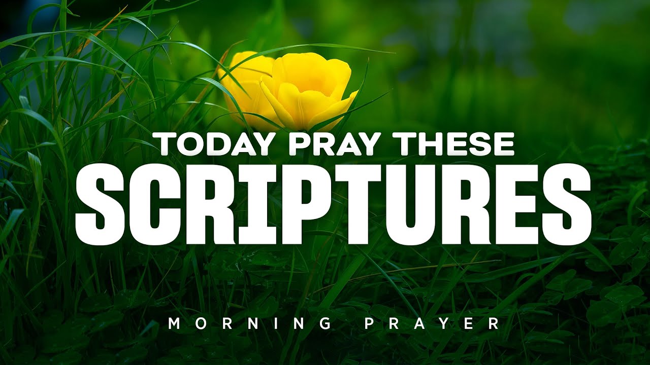 Start Your Morning with a Prayer That Carries Power | A Blessed Morning Prayer To Start Your Day