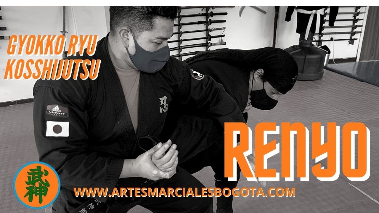 RENYO 輦輿 | GYOKKO RYU | BUJINKAN.