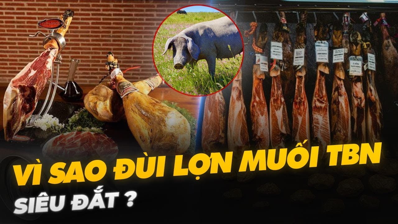 VÌ SAO ĐÙI LỢN MUỐI TÂY BAN NHA SIÊU ĐẮT?