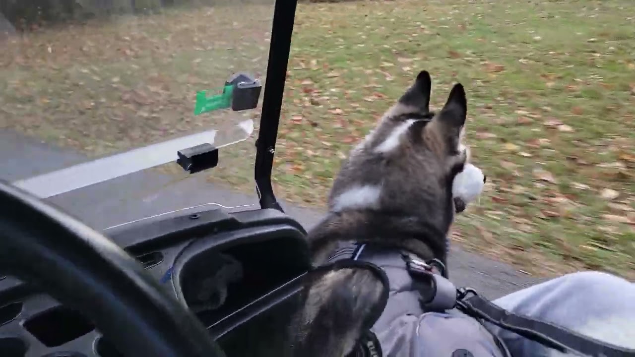 Golf cart ride through Peachtree City, GA