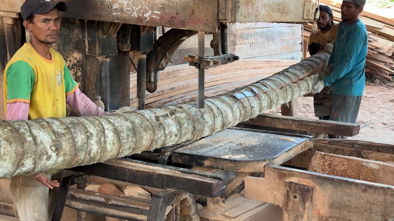 Advanced Technique to Cut Coconut Trees into 2x20 with a Sawmill