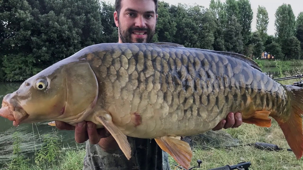 Carpfishing in fiume free