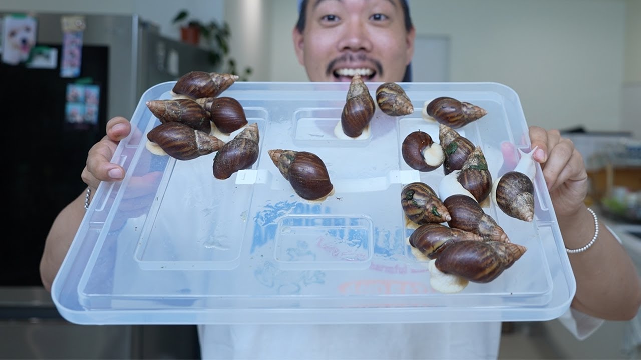 그냥 길에 널려 있습니다..! 초대형 식용 달팽이를 100마리 잡아서 에어프라이어로 먹어보겠습니다