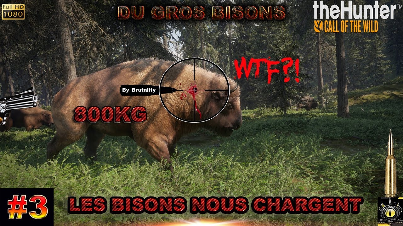 THEHUNTER CALL OF THE WILD #3 LA CHASSE DU BISON ET ILS NOUS CHARGENT !!  SIMULATEUR DE CHASSE 2017
