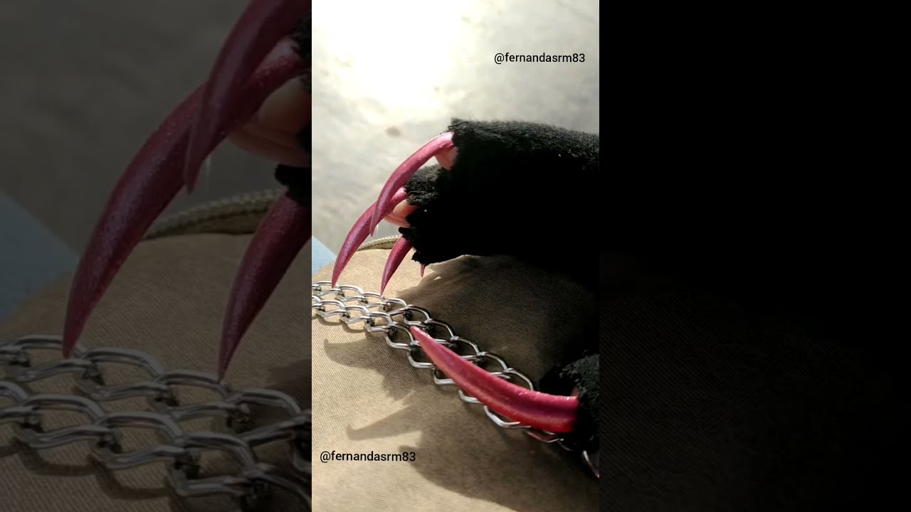 Gloves and natural claws by our pretty hand model Fernanda Ribeiro (october 2021)
