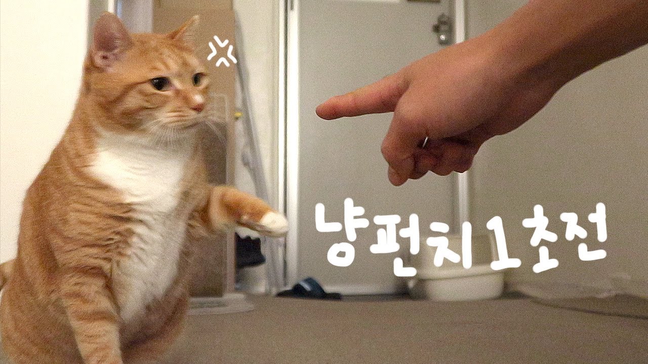 손가락 저리 치우라 그래찌 ㅡㅡ^