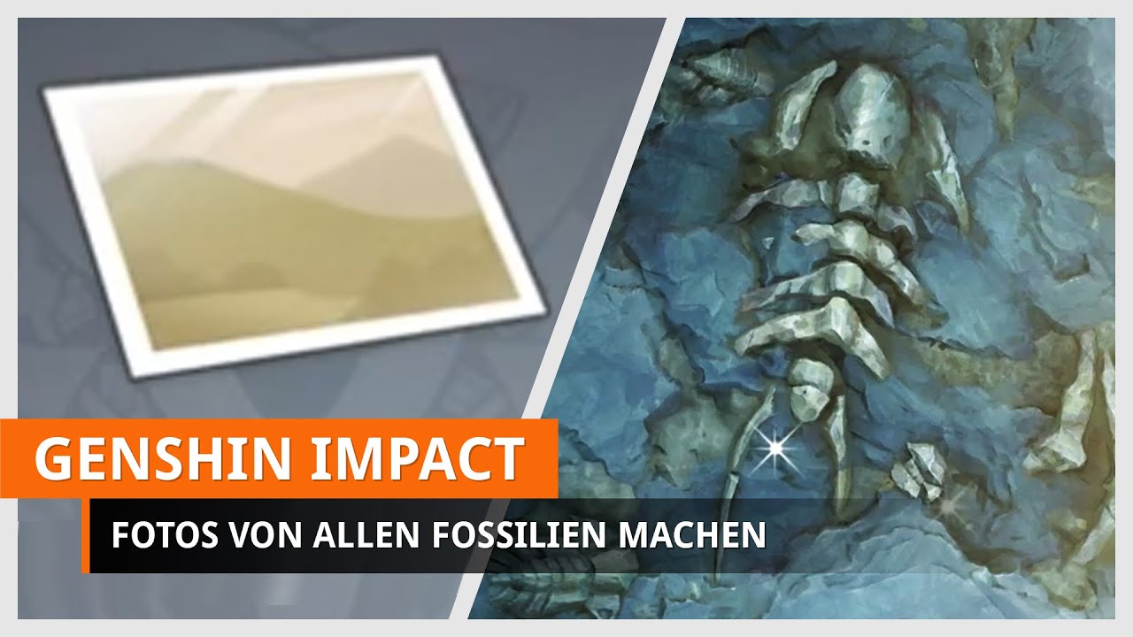Genshin Impact: Paläontologische Untersuchung (Alle Fossilien-Fotos machen)