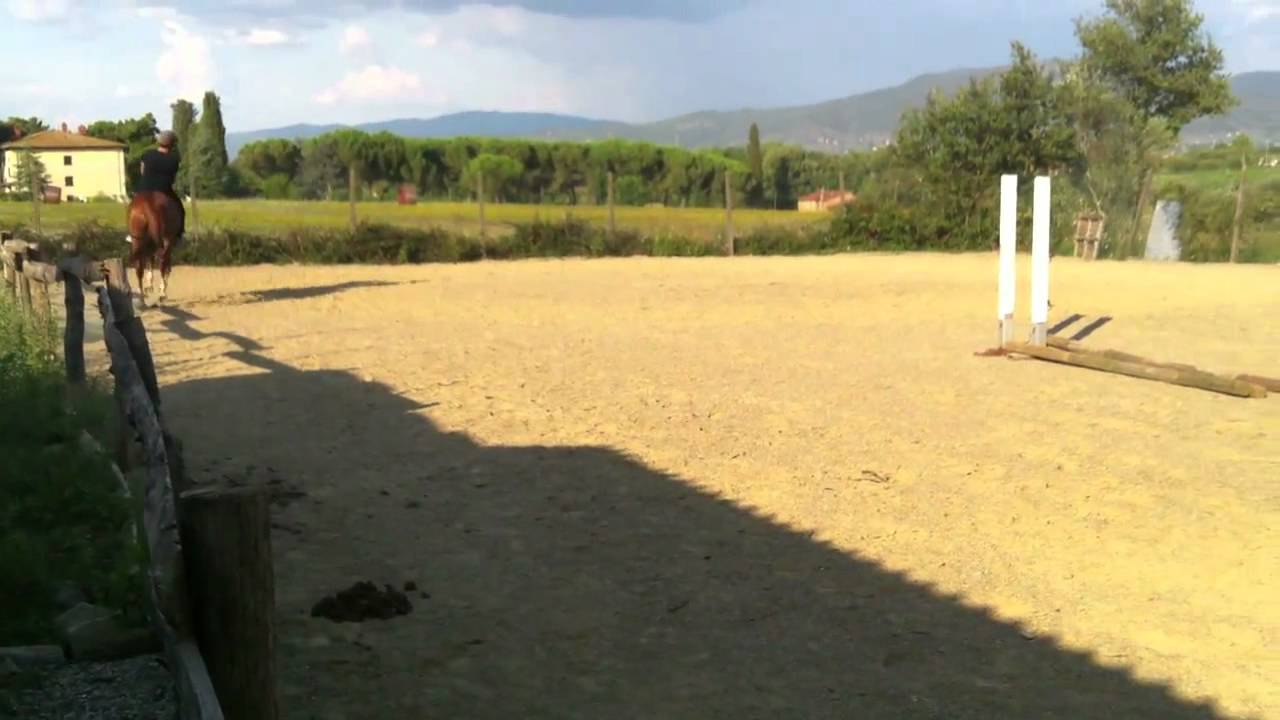 Prima monta a pelo alle scuderie di Matroia