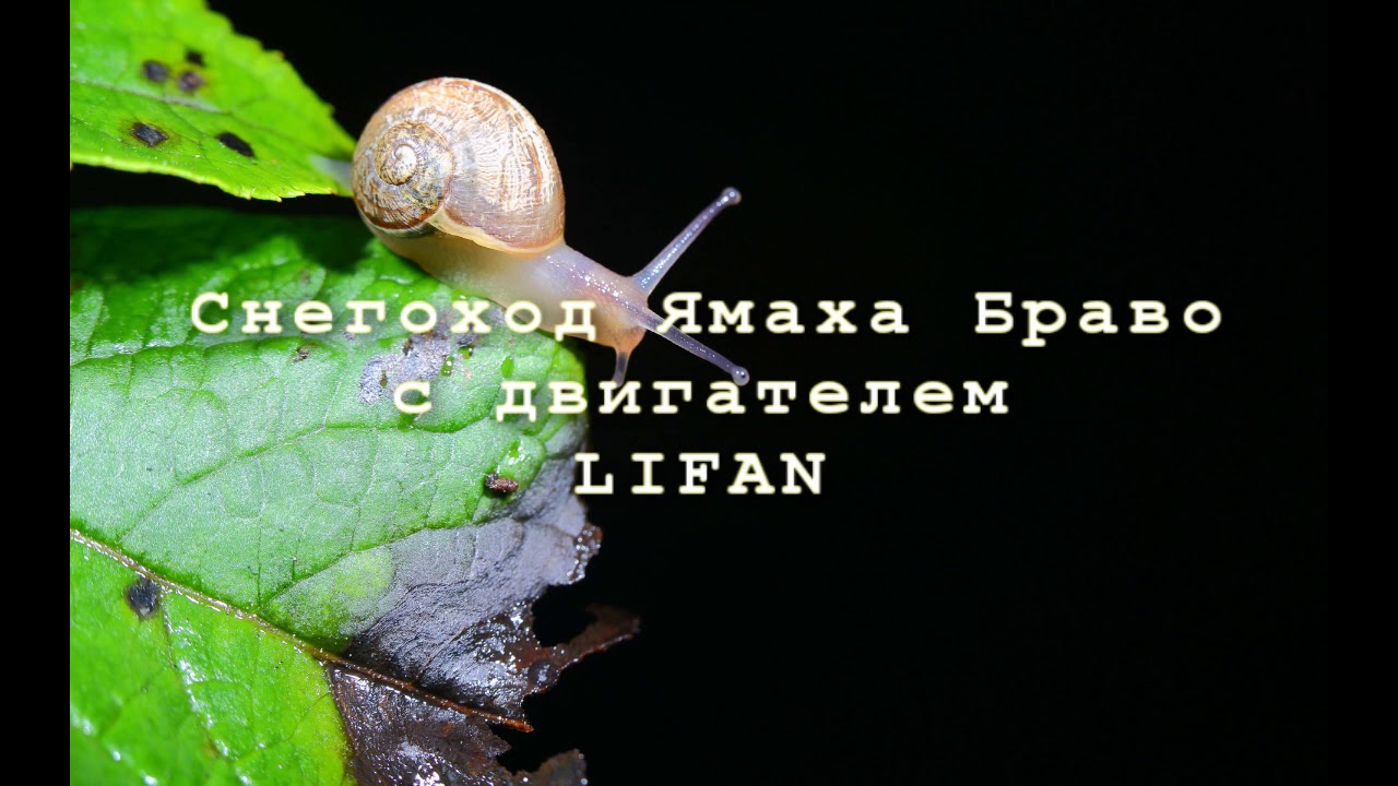 Yamaha br250  с двигателем Lifan первая поездка