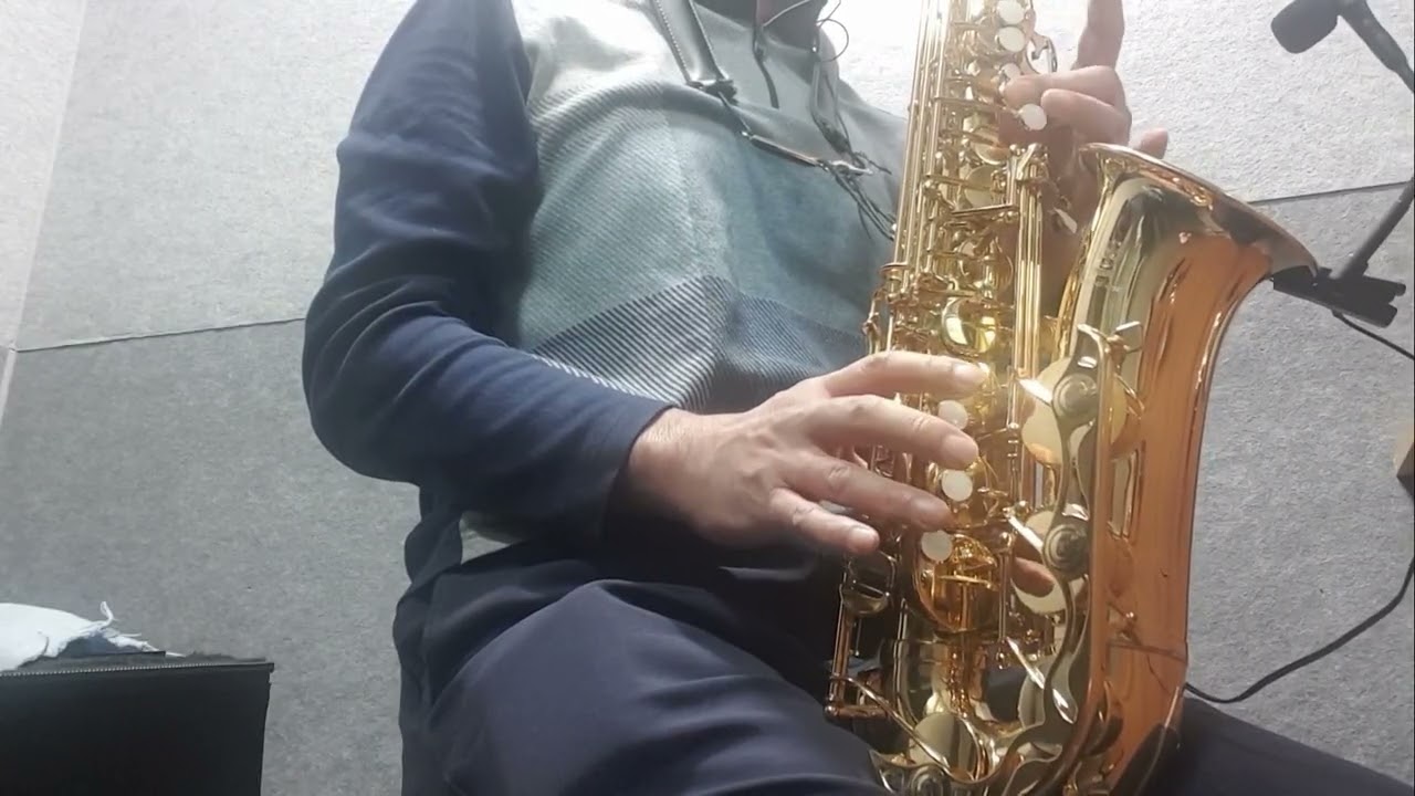 주저하는연인들을위해 잔나비  #saxophone #색소폰 #머털의색소폰