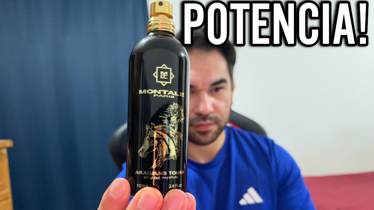Arabians Tonka: Dulce y Potente!
